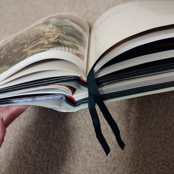 Williams Sonoma Kitchen Library: Pasta & Healthy Cooking, Cookbooks - Picture 11 of 16